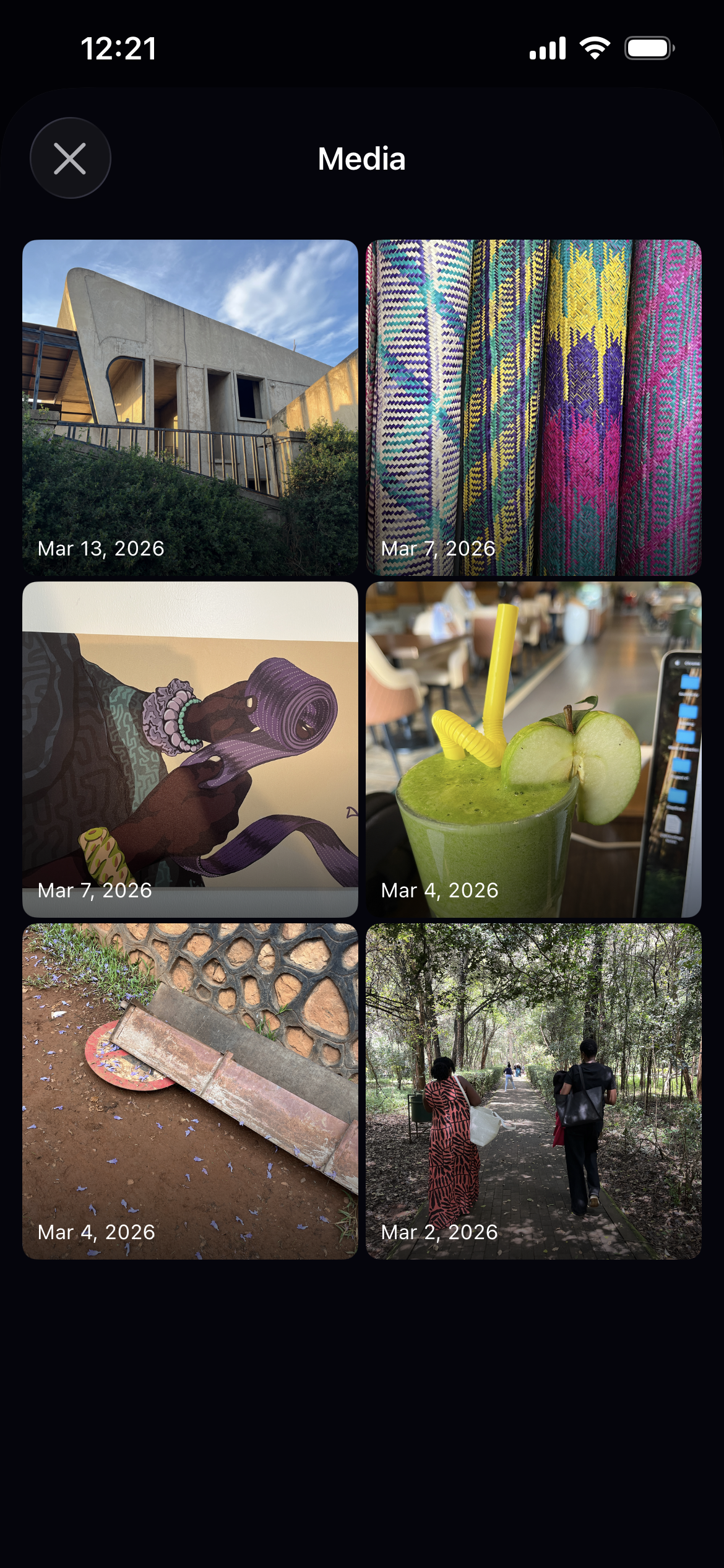 StepGoals journal media library showing photos from walking journal entries on iPhone