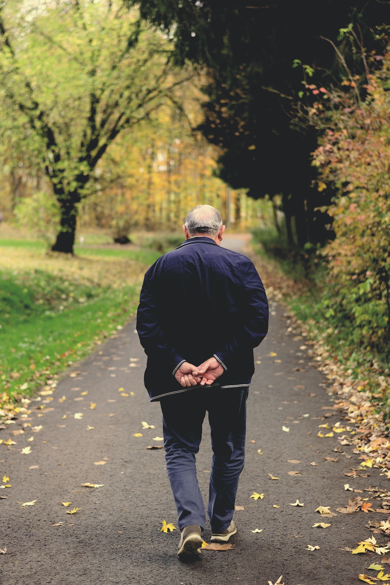Older adult walking on a tree-lined path for daily step goal and healthy aging